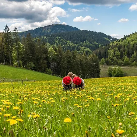 Hébergement de vacances Schwarzwaldhaus Sonnenstrasse, Oberried-hofsgrund, Dreisamtal *