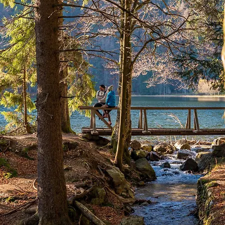 Schwarzwaldhaus Sonnenstrasse, Oberried-hofsgrund, Dreisamtal Hébergement de vacances *