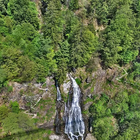 Schwarzwaldhaus Sonnenstrasse, Oberried-hofsgrund, Dreisamtal Holiday home Oberried (Breisgau)